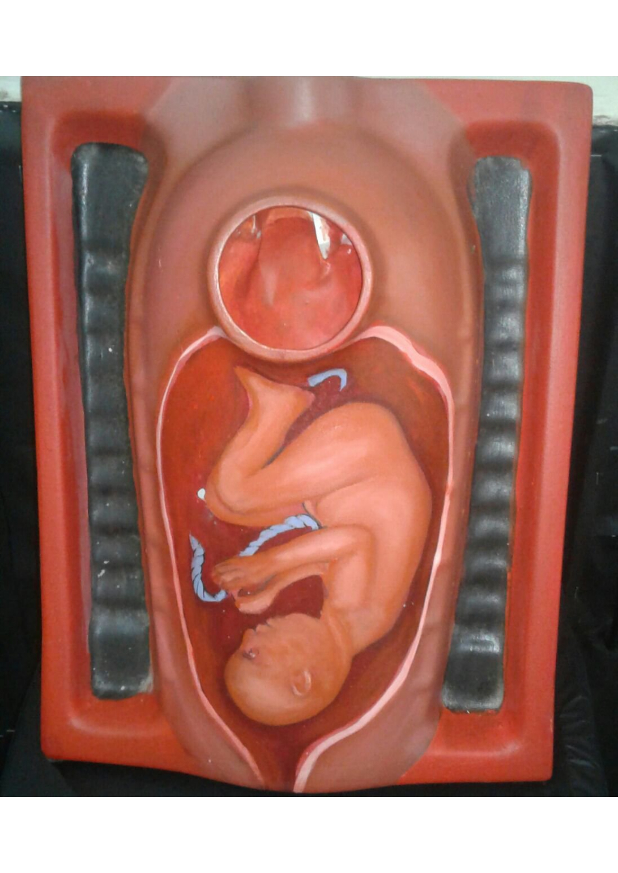 Image to PDF 20250524 16.18.58 (1)_page-0001